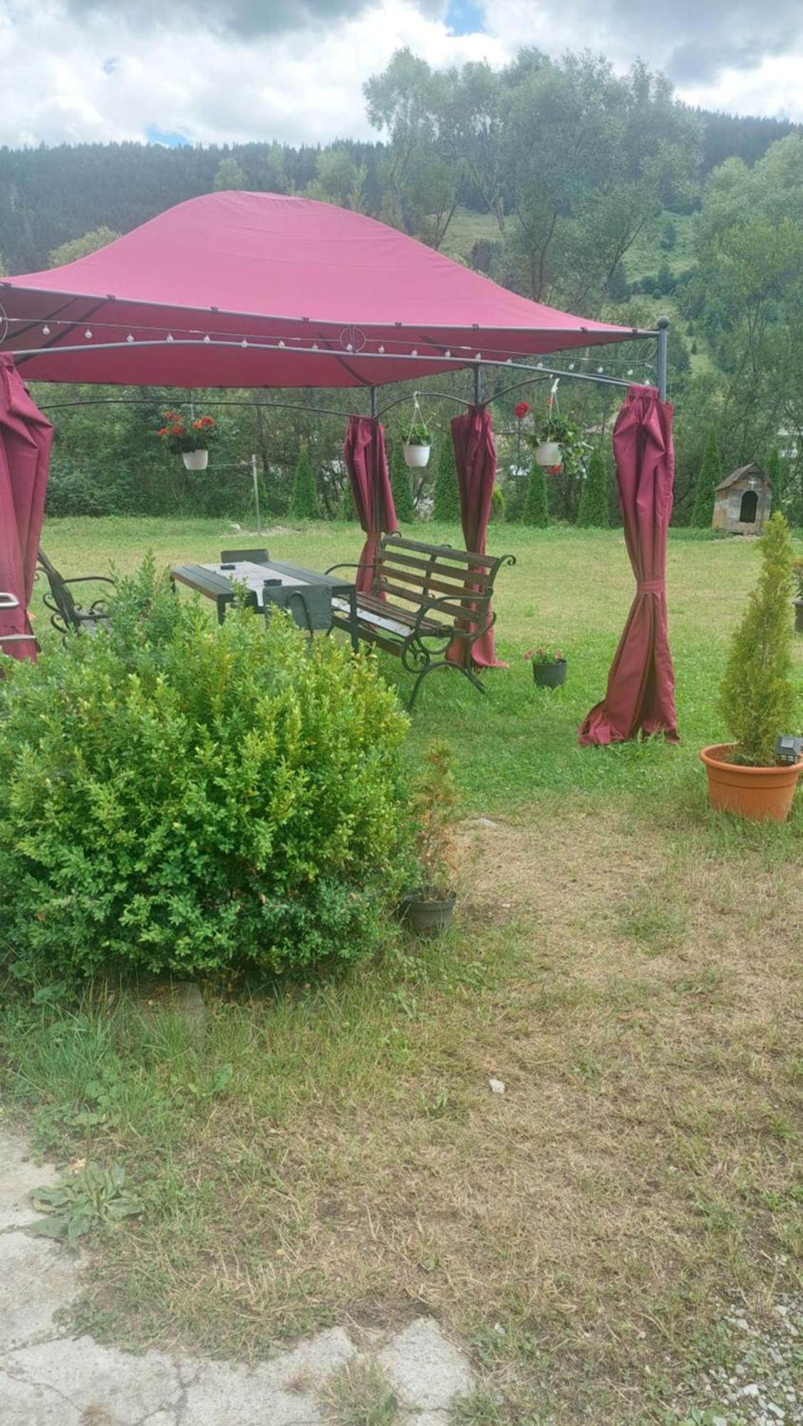 Brosteni Serbeca المظهر الخارجي الصورة